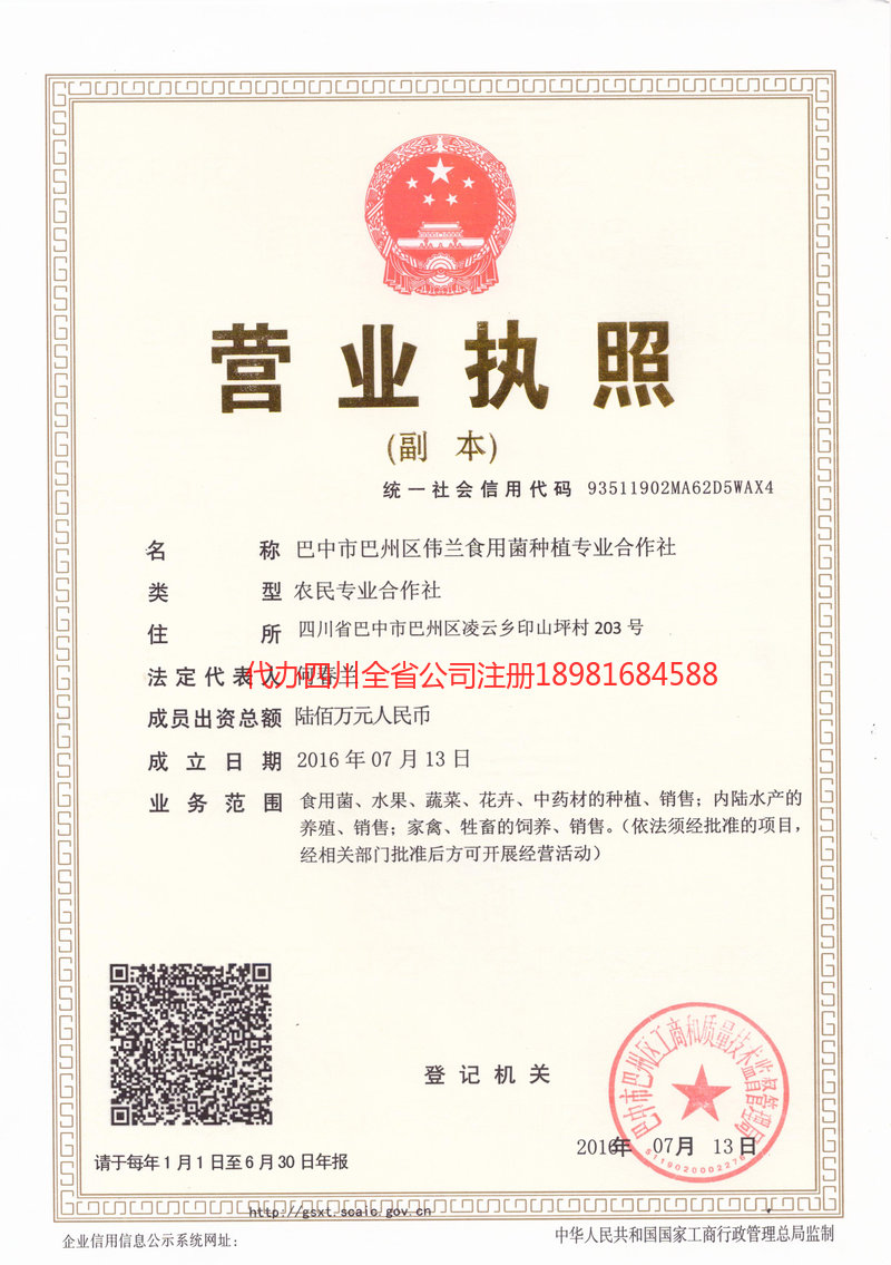 湛江湛江伟兰食用菌种植专业合作社